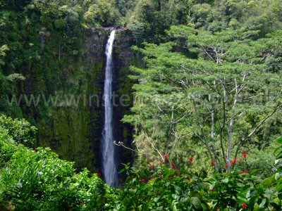The impressive Akaka Falls, Big Island, Hawaii.
