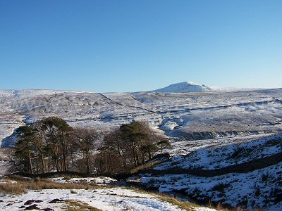 Ingleborough Hill, one of the Three Peaks in the Yorkshire Dales, as seen across Kingsdale from Yordas Plantation - December 2008