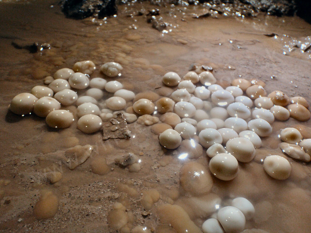 More pristine cave pearls