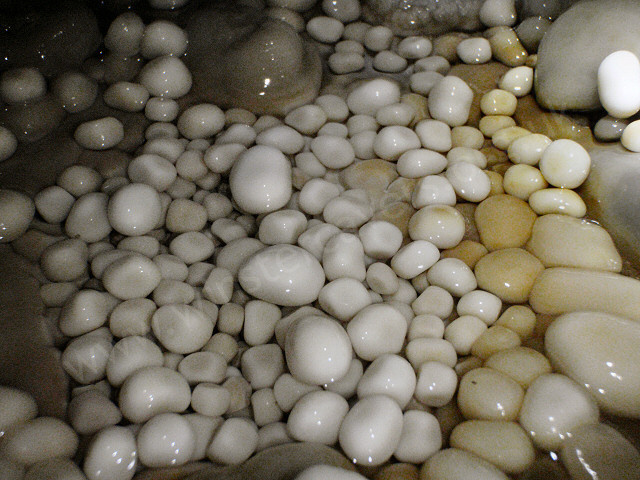 Pristine cave pearls at the side of a cave passage