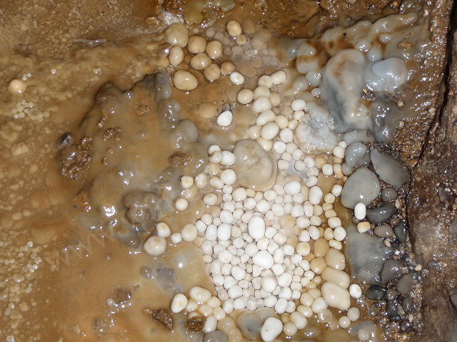 Pristine cave pearls at the side of a cave passage