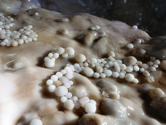 Some cave pearls scattered over a calcite flow.