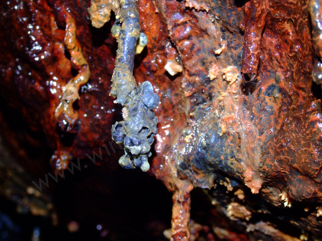 A lava tube formation, encrusted in mineral deposits.