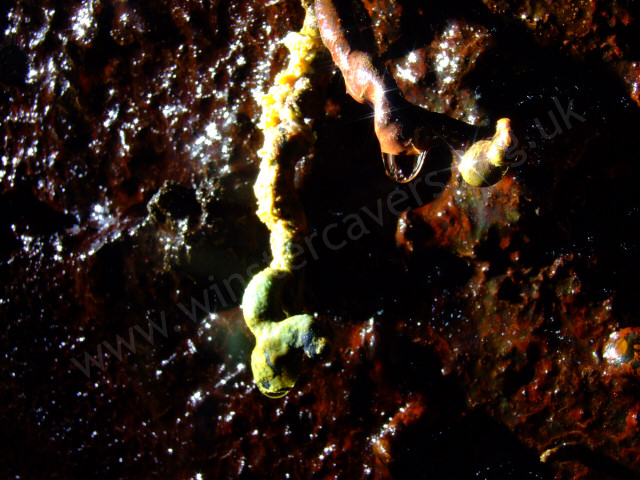 Mineral encrusted lava stalactite