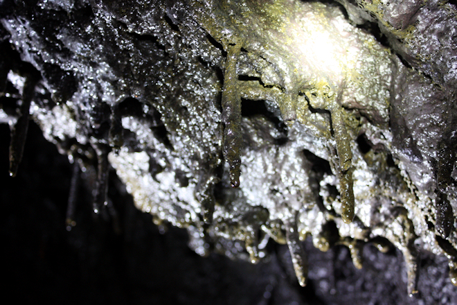 Lava stalactites in an Icelandic Lava Cave