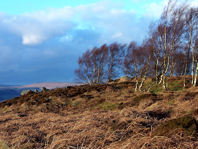 Abandoned millstones at Lawrence Field, near Hathersage, Dark Peak