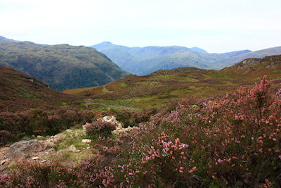 Enjoyable walking on the excellent ascent route of Fleetwith Edge