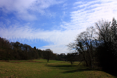 The riverside pastures near Wincle - May 2010