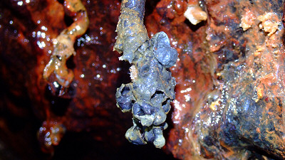 A lava Speleothem within a Hawaiian Lava Tube.