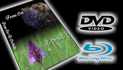Purchase 'From Ore to Orchids' on High Definition BluRay DVD