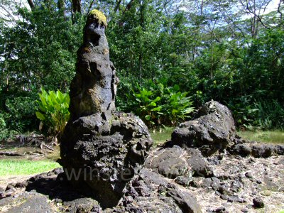 The remains of a lava-encrusted tree, Lava Tree State Park, Hawaii