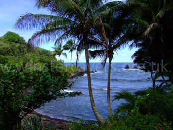 The beautiful Onomea Bay, by the Hawaii Tropical Botanical Gardens near Hilo