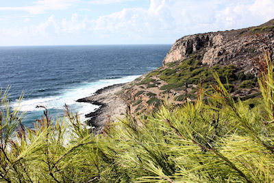 The coastline of Levanzo near Il Faraglioni