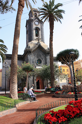 Seafront church with palms and dragon tree, Puerto de la Cruz, Tenerife, January 2011